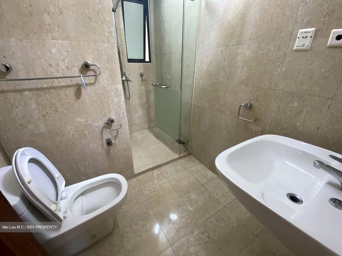 Valley Park (D10), Condominium #550570151